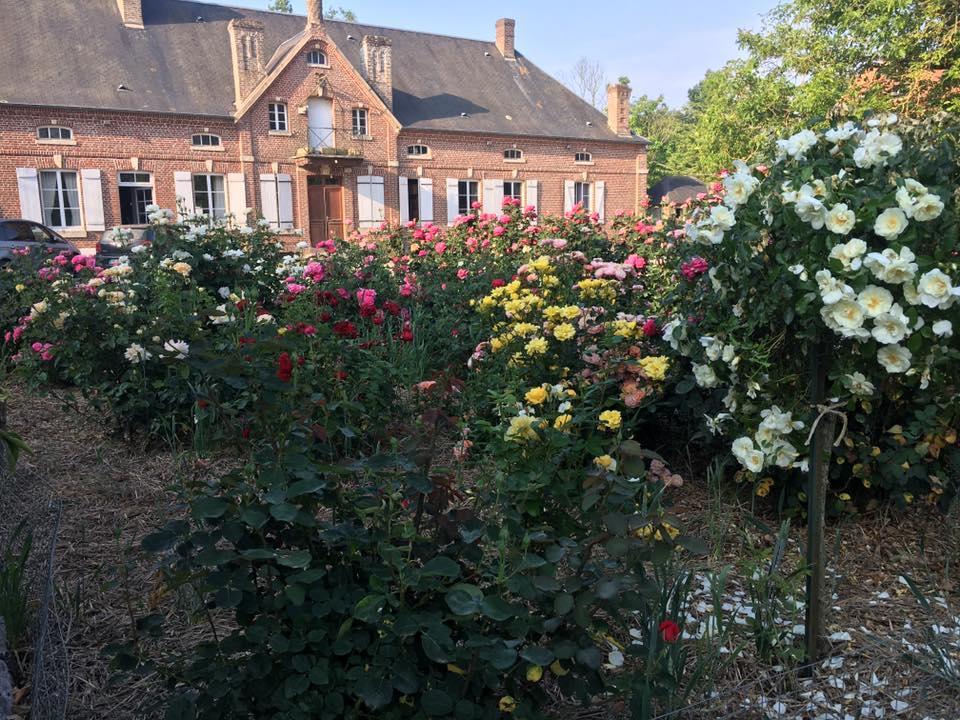 Domaine Des Celestins Bed & Breakfast Bernay-en-Ponthieu Luaran gambar